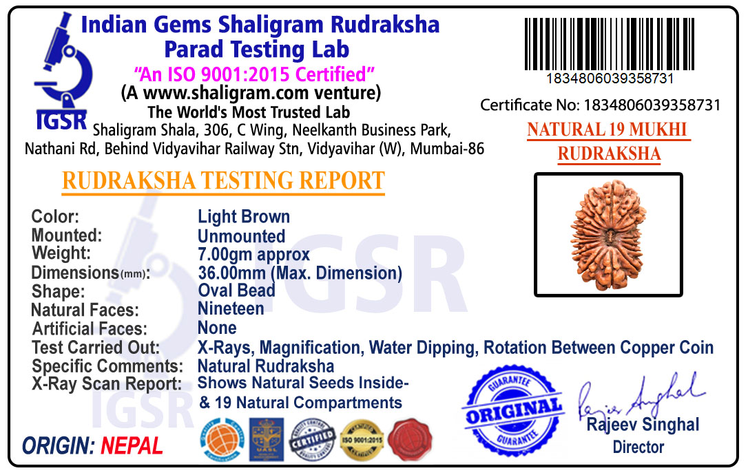 product-img/RD-19-C-B-01 1834806039358731-new.jpg